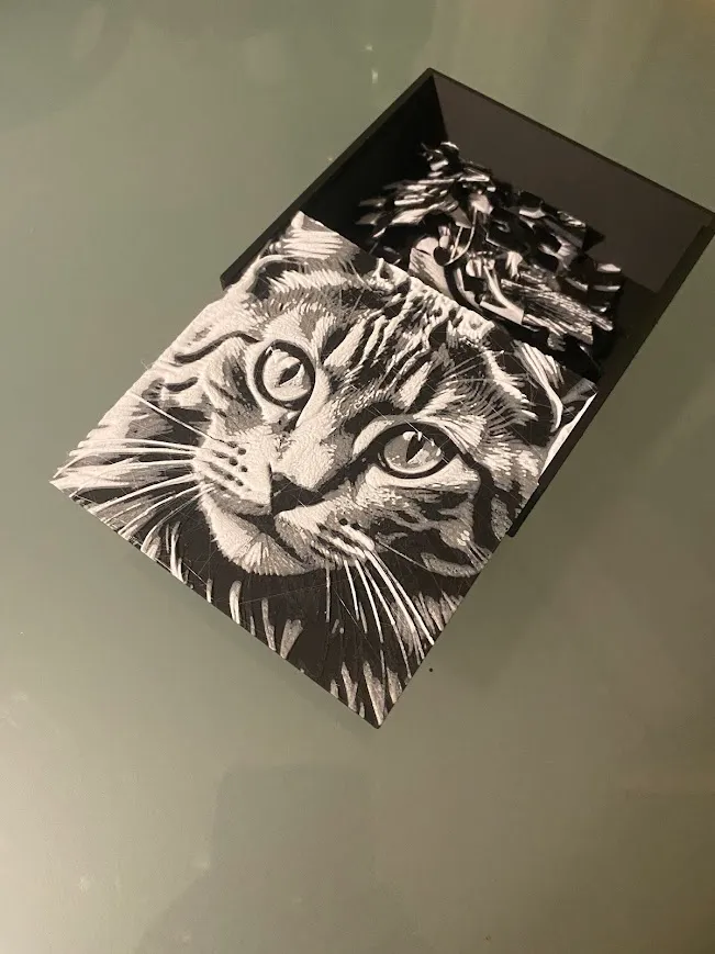 Cat Puzzle, Hueforge with Box and Lid with Preview, photo 2 of 2 - Cat Puzzle, Hueforge with Box and Lid with Preview Art
