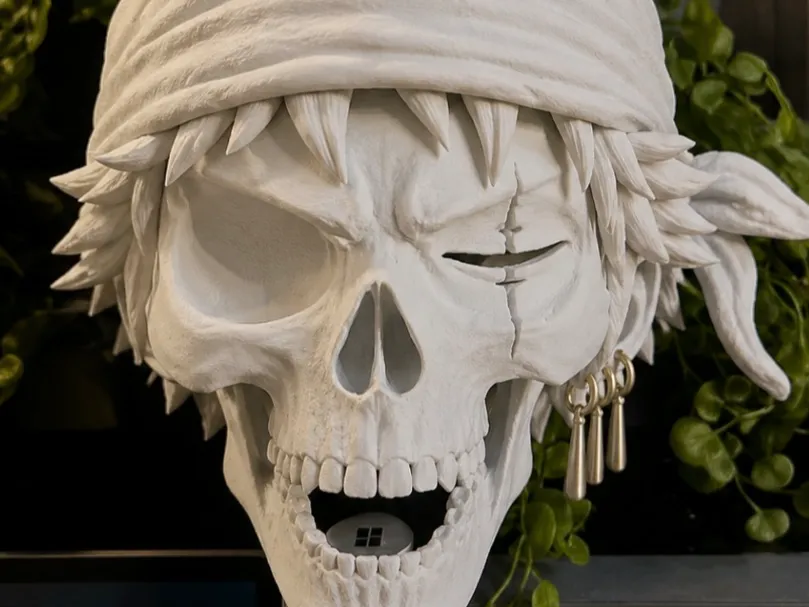 Zoro One Piece Jolly Roger