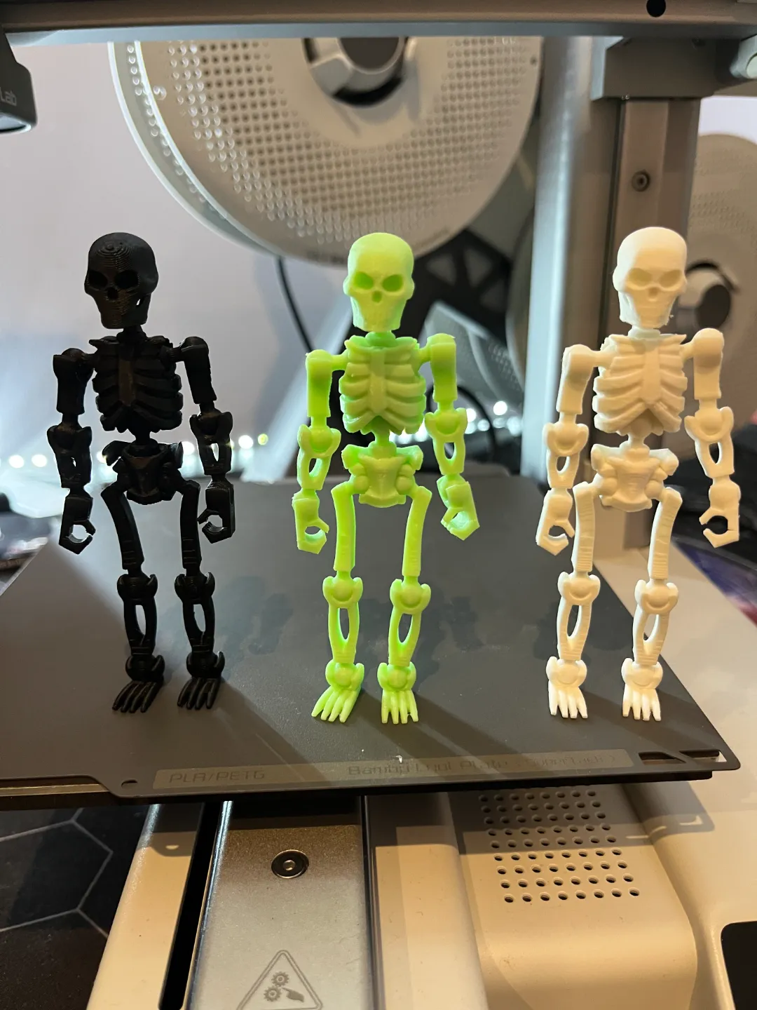 posable skeleton 13 on a kit card, photo 4 of 4 - posable skeleton 13 on a kit card Models, RC & Drones