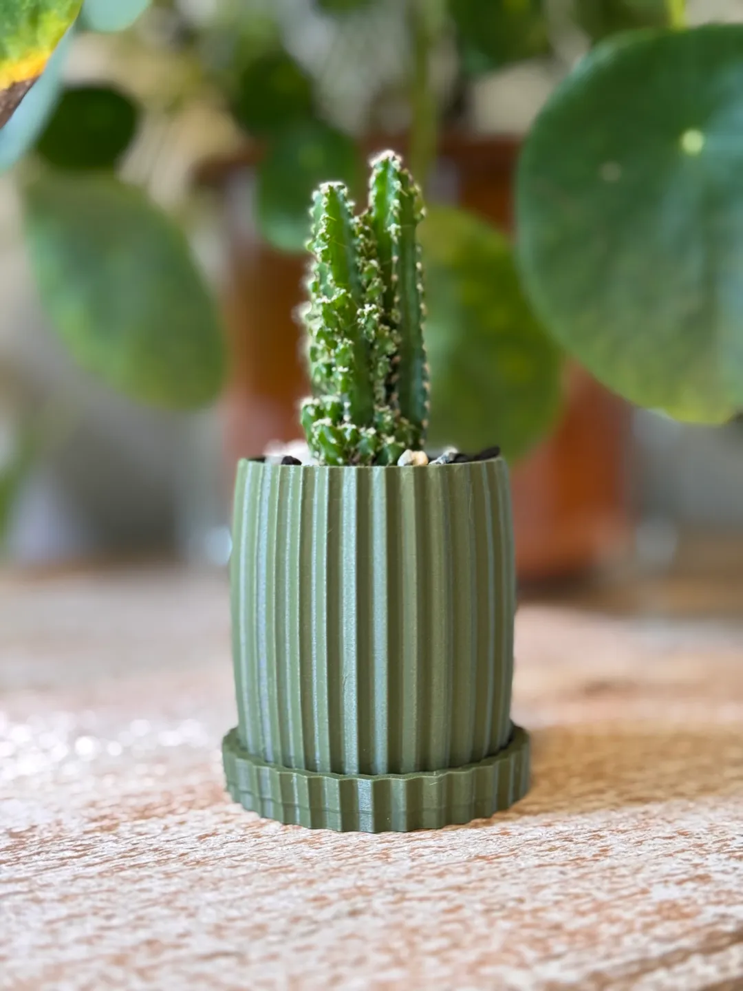 2-inch nursery pot planter with drip tray, photo 4 of 4 - 2-inch nursery pot planter with drip tray Garden & Outdoor
