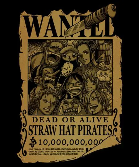 Rewards Piratas de Sombrero de Paja - One Piece HF - Photo Art & Lithophanes, in stock in India