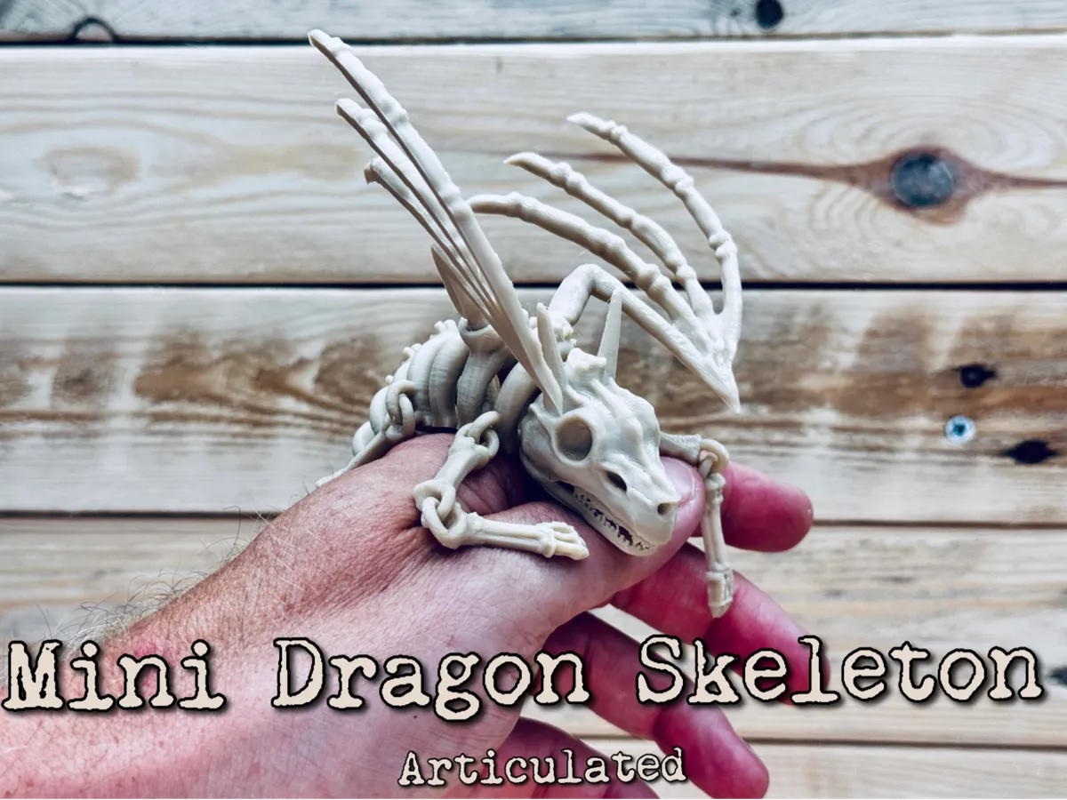 Mini Dragon Skeleton