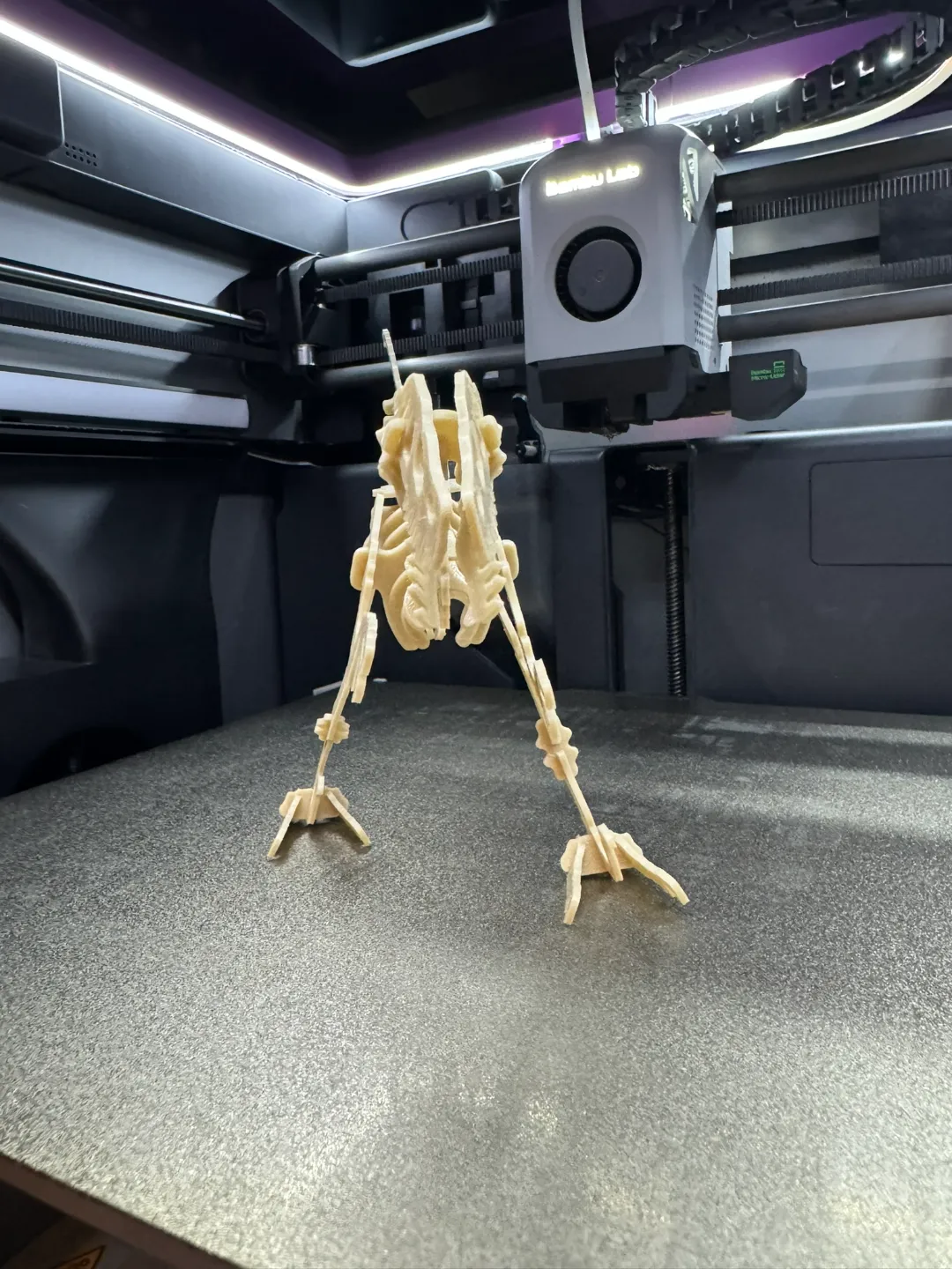 Velociraptor Kit Card, photo 3 of 4 - Velociraptor Kit Card Models, RC & Drones