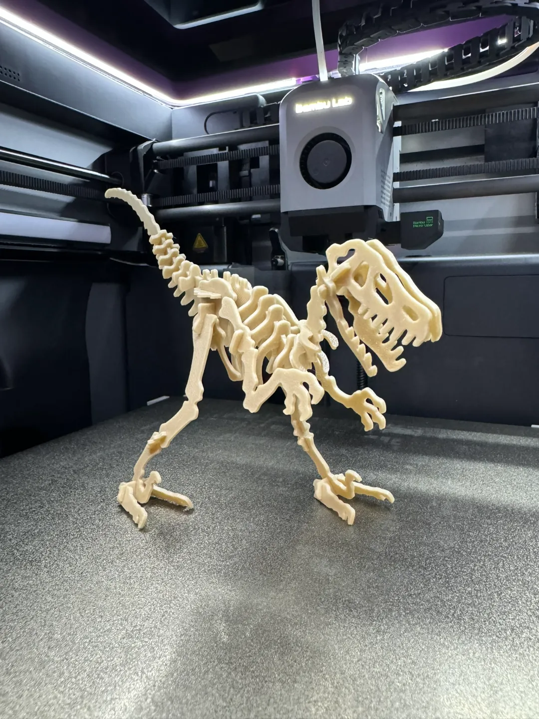 Velociraptor Kit Card, photo 4 of 4 - Velociraptor Kit Card Models, RC & Drones