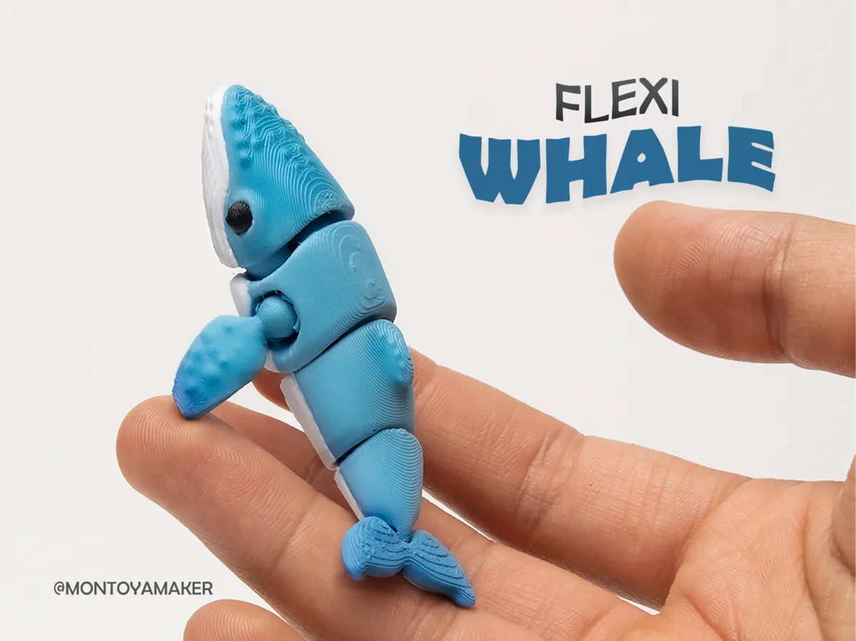 Flexible Whale