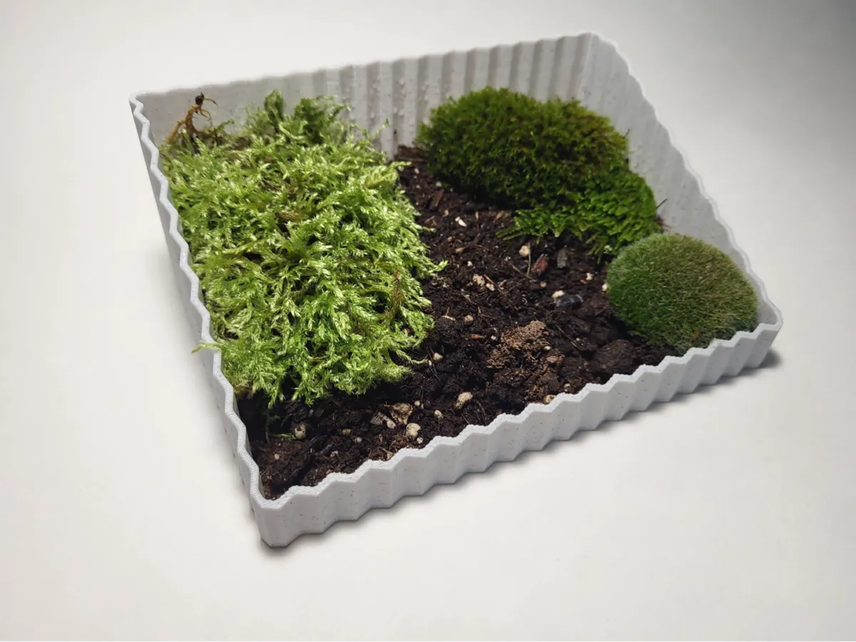 Planter Mini Garden