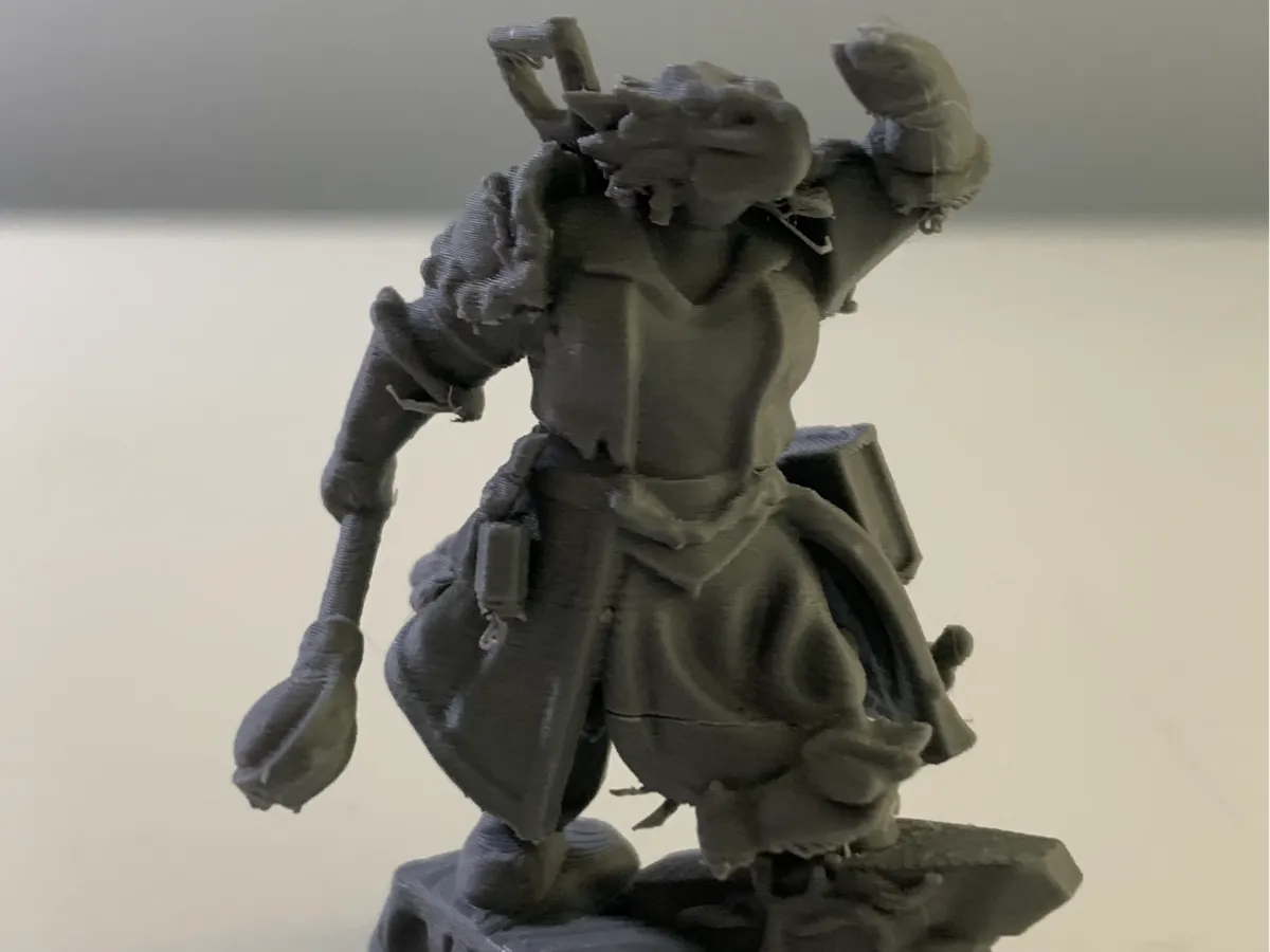 DND Dragonborn Adventurer