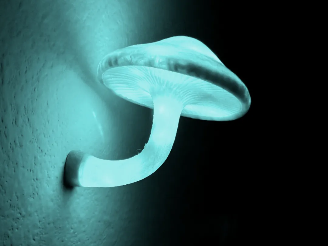 Mushroom Wall Light