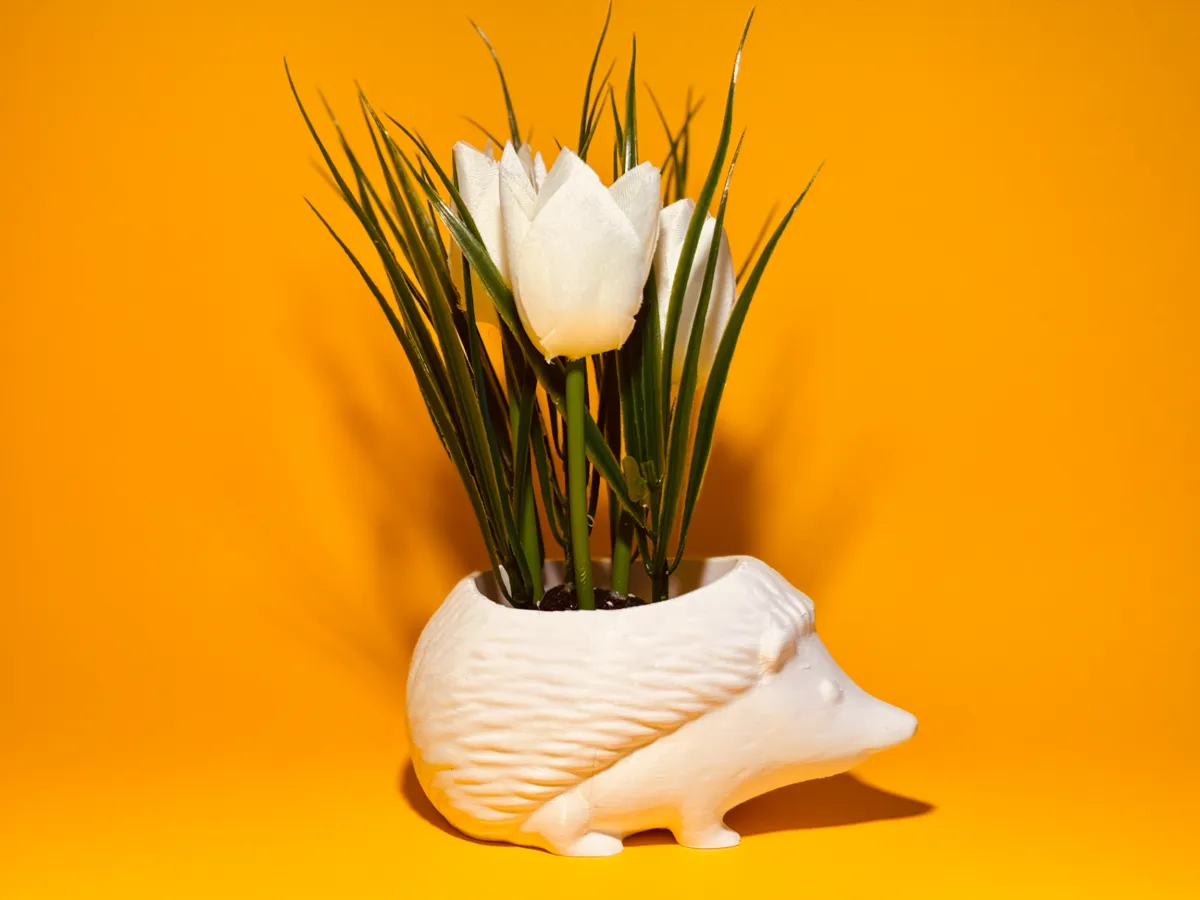 Hedgehog Planter