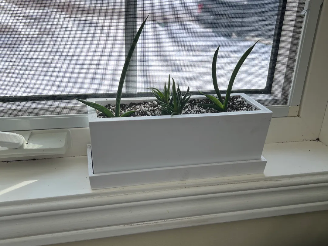 Window Sill Planter with Hidden Dividers