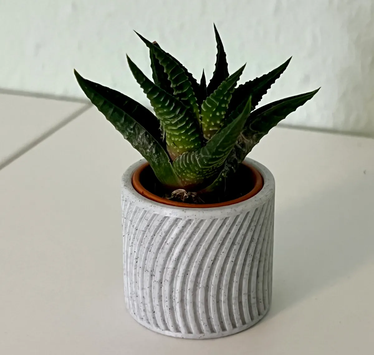 Small Planters 35mm
