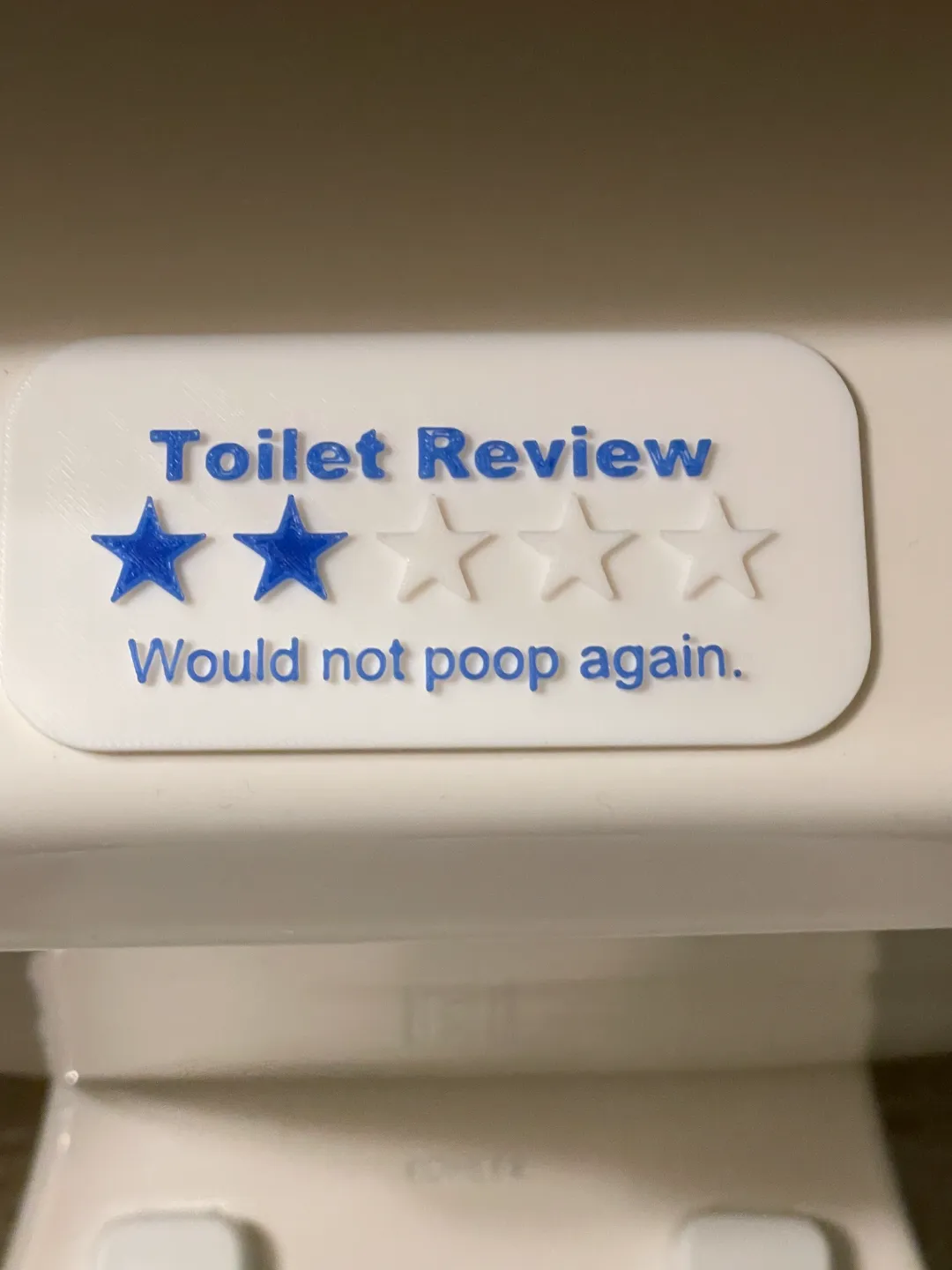 Funny Toilet Sign Multicolor, photo 2 of 3 - Funny Toilet Sign Multicolor Art