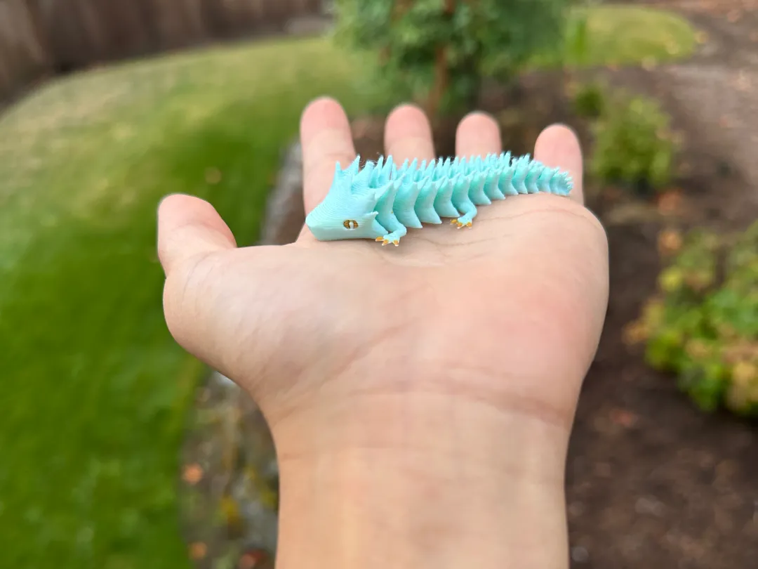 The dragon