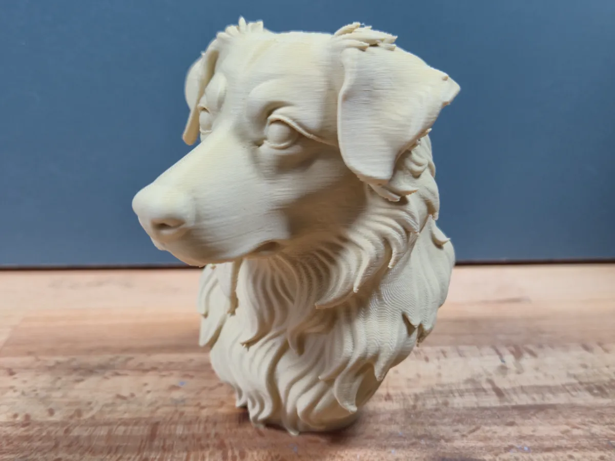 Australian Shepherd Bust