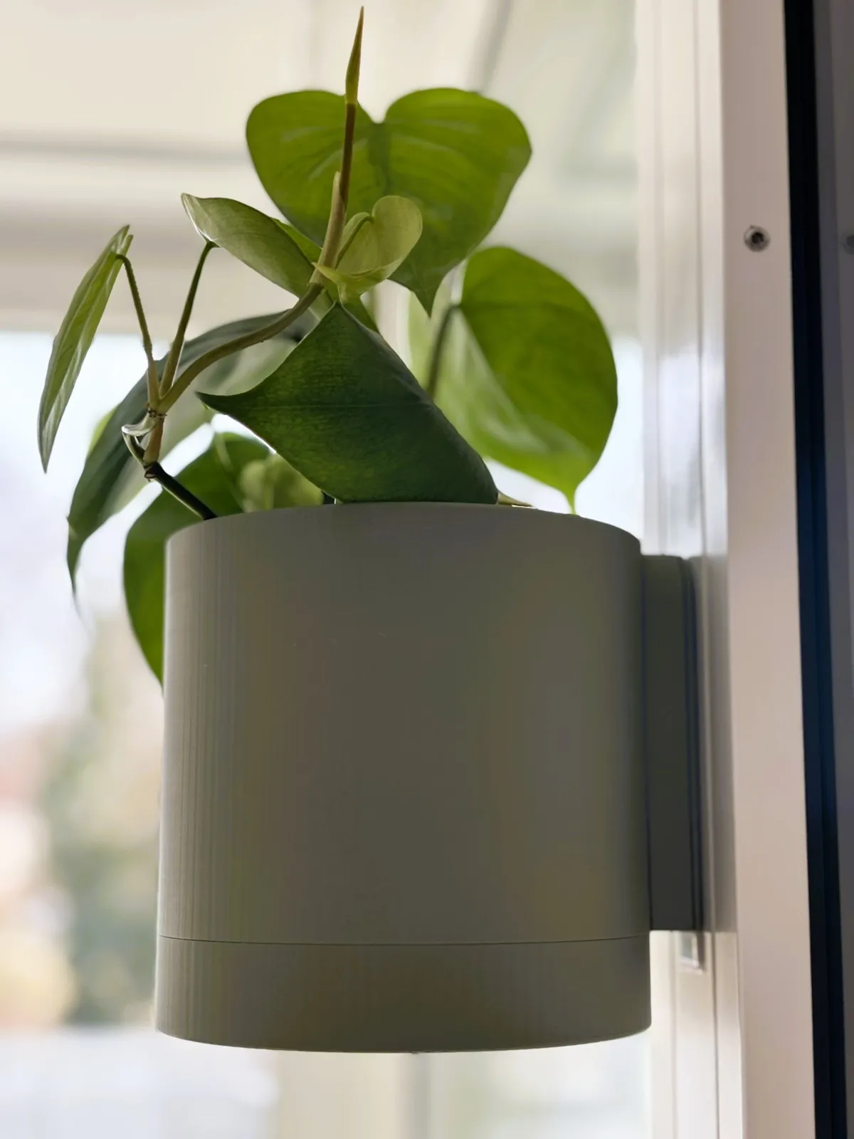 Minimalist Wall Mount Planter Ø120 mm + Drip Tray, photo 4 of 4 - Minimalist Wall Mount Planter Ø120 mm + Drip Tray Garden & Outdoor