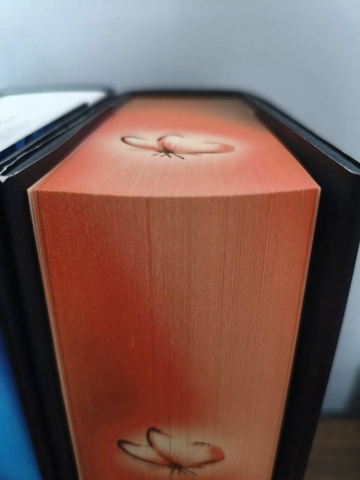 Parametric Book Page-Sag Support & Dust Guard, photo 2 of 4 - Parametric Book Page-Sag Support & Dust Guard Household