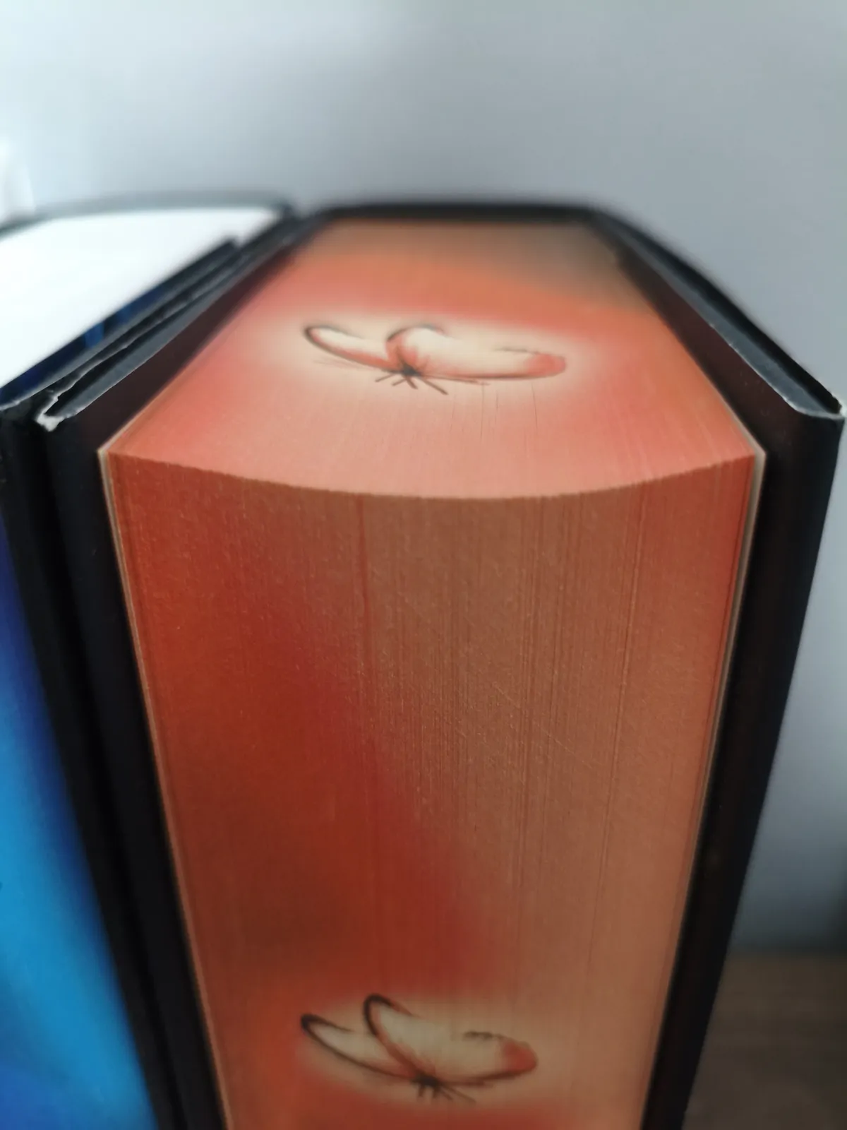 Parametric Book Page-Sag Support & Dust Guard, photo 3 of 4 - Parametric Book Page-Sag Support & Dust Guard Household