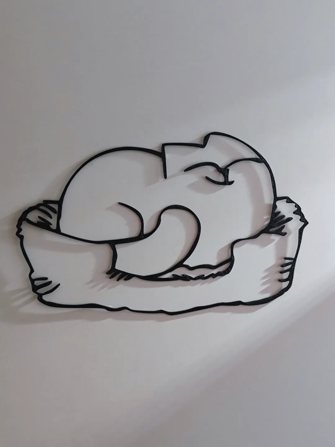 Simon´s cat sleeps