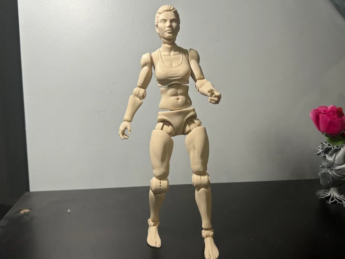 PETG Power-Link: Ultra-Durable Poseable Heroine