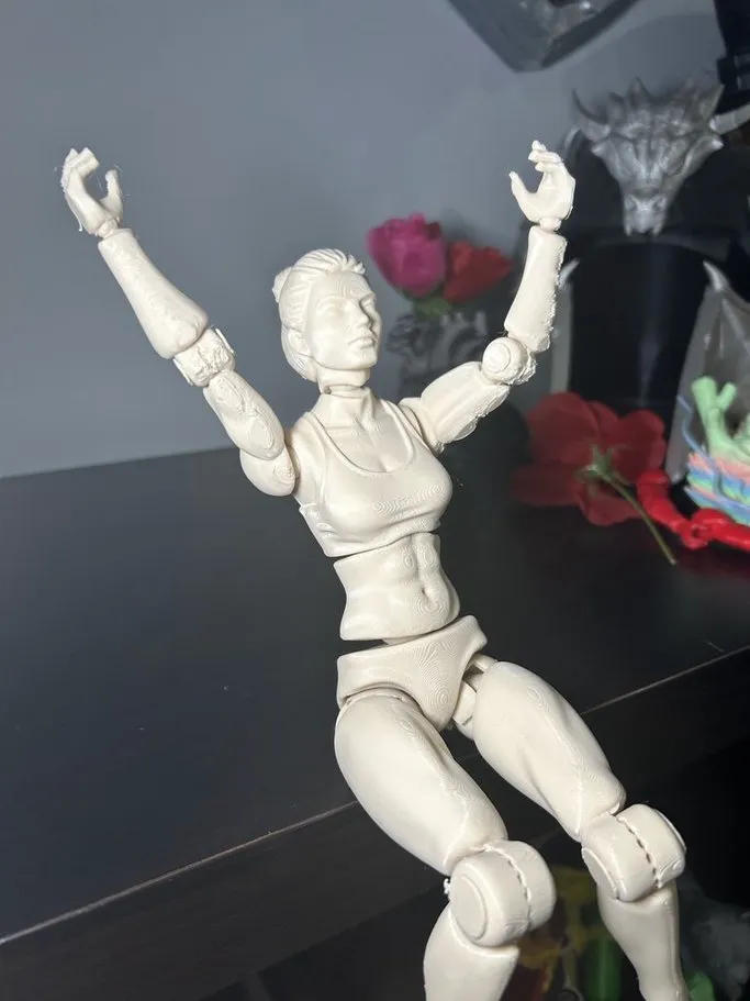 PETG Power-Link: Ultra-Durable Poseable Heroine, photo 3 of 4 - PETG Power-Link: Ultra-Durable Poseable Heroine Home Decor Items
