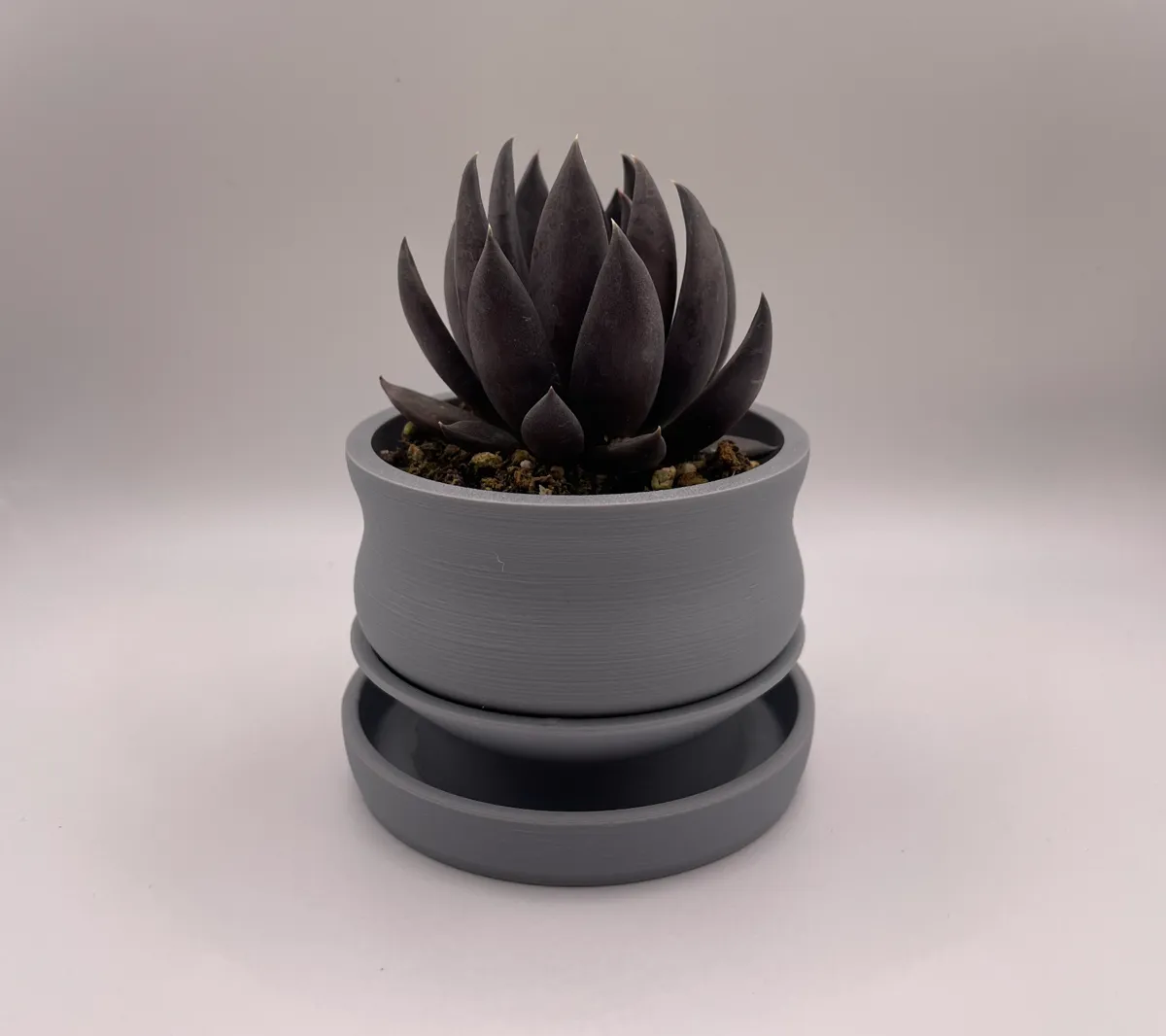 Blob Succulent Pots with Drip/Bottom-Watering Tray