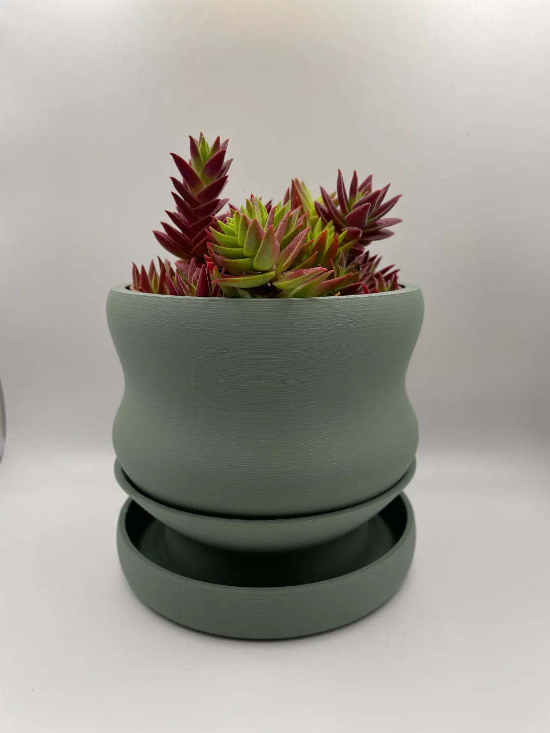 Blob Succulent Pots with Drip/Bottom-Watering Tray, photo 3 of 4 - Blob Succulent Pots with Drip/Bottom-Watering Tray Garden & Outdoor