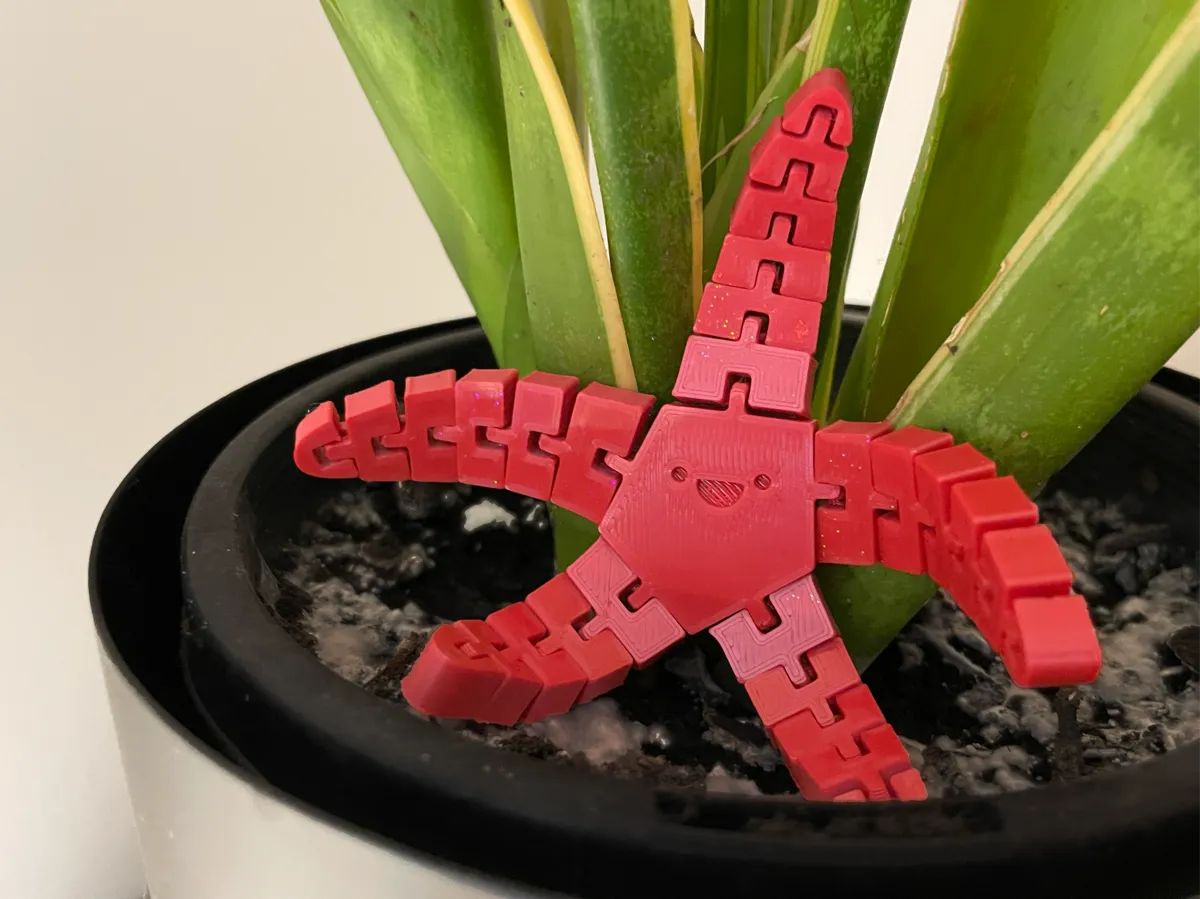 Flexi Starfish - Kawaii Smile Edition - Articulated Sea Creatures, in stock in India
