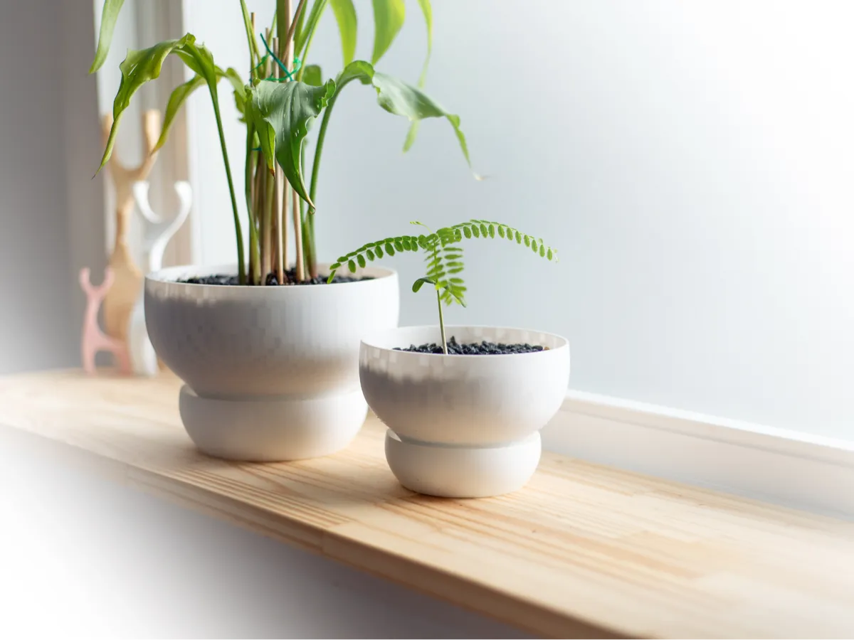 Plant Pot with Large Water Reservoir - 2 Sizes - Self-watering Planters, in stock
