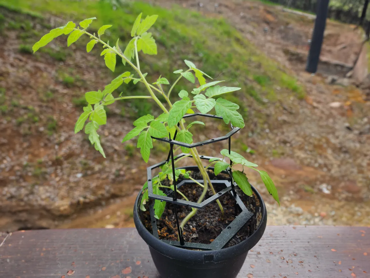 Plant Support Trellis Kit Card