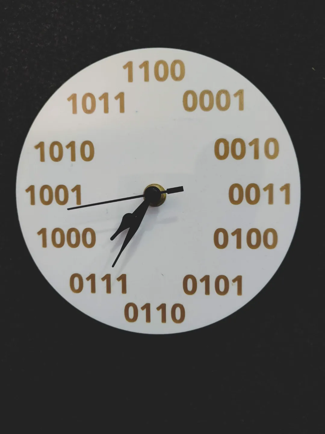 Binary Numbers, photo 2 of 3 - Binary Numbers Household