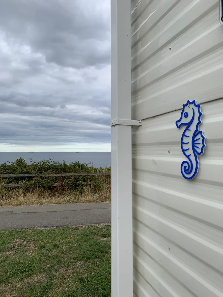 Seahorse wall art, photo 3 of 4 - Seahorse wall art Home Decor Items