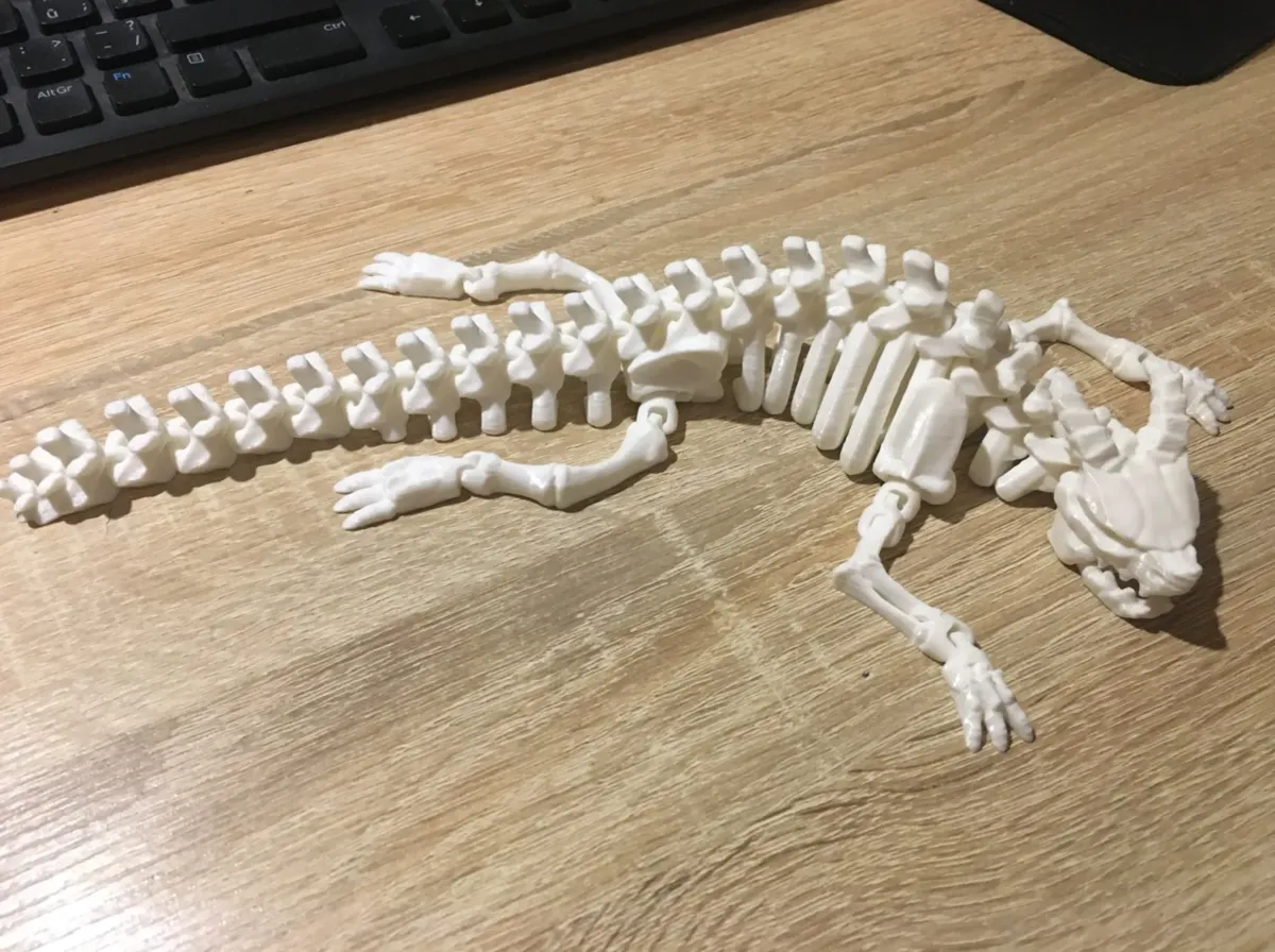 Articulated Skeleton Dragon Without Wings V2