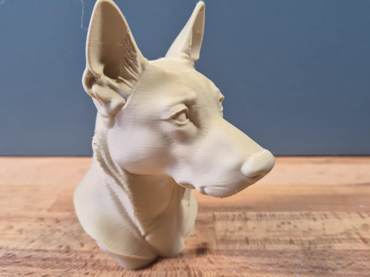 Belgian Malinois Bust