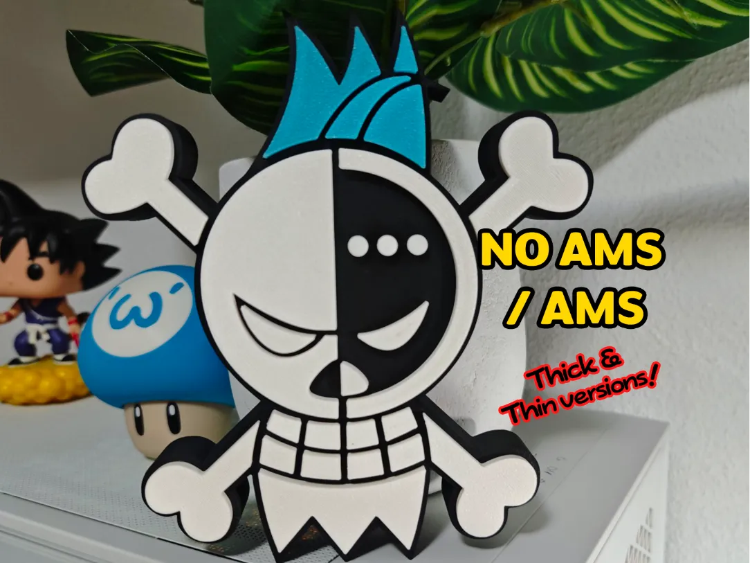 One Piece Franky Skull Jolly Roger