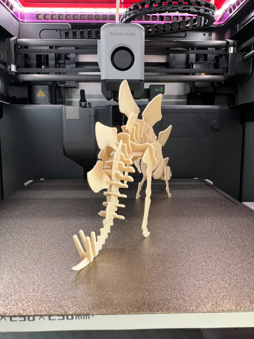 Stegosaurus 3D Puzzle Kit Card, photo 4 of 4 - Stegosaurus 3D Puzzle Kit Card Toys, Games & Hobbies