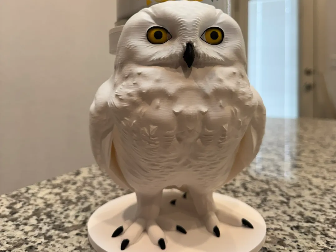 Snow Owl