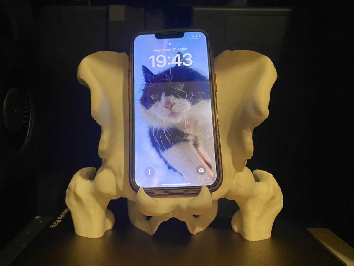 Pelvis-Inspired Anatomy Phone Holder - Desk Mobile Stands, in stock