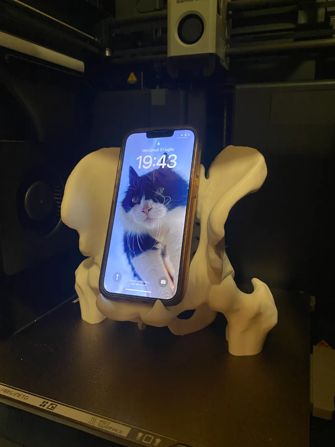 Pelvis-Inspired Anatomy Phone Holder, photo 2 of 4 - Pelvis-Inspired Anatomy Phone Holder Mobile & Device Accessories