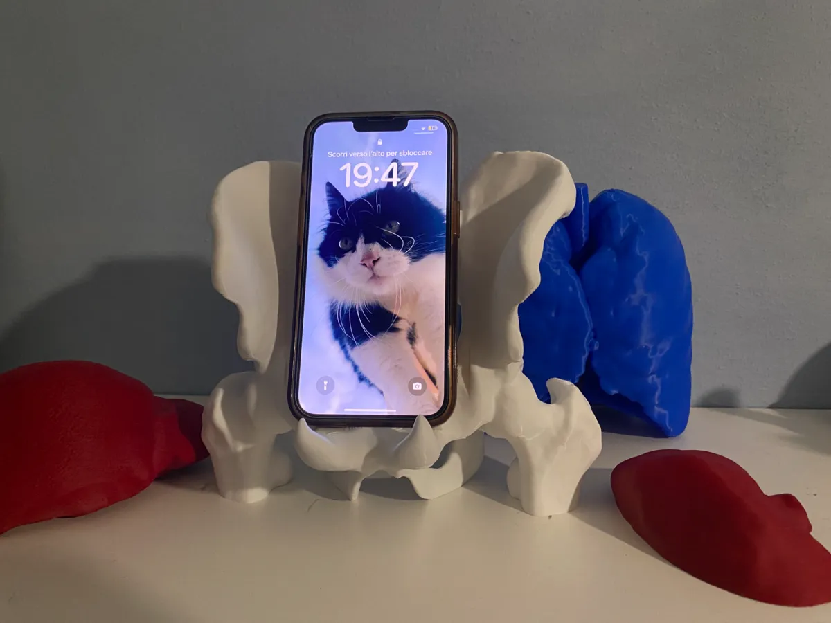 Pelvis-Inspired Anatomy Phone Holder, photo 3 of 4 - Pelvis-Inspired Anatomy Phone Holder Mobile & Device Accessories