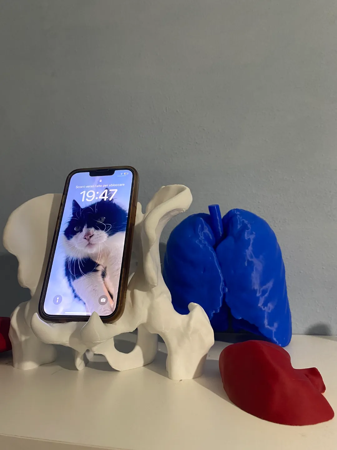 Pelvis-Inspired Anatomy Phone Holder, photo 4 of 4 - Pelvis-Inspired Anatomy Phone Holder Mobile & Device Accessories
