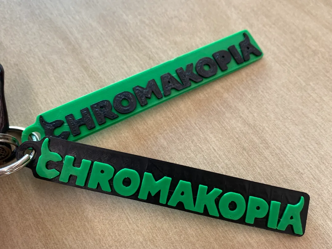Chromakopia bag tag/key ring - Signs & Logos, in stock in India