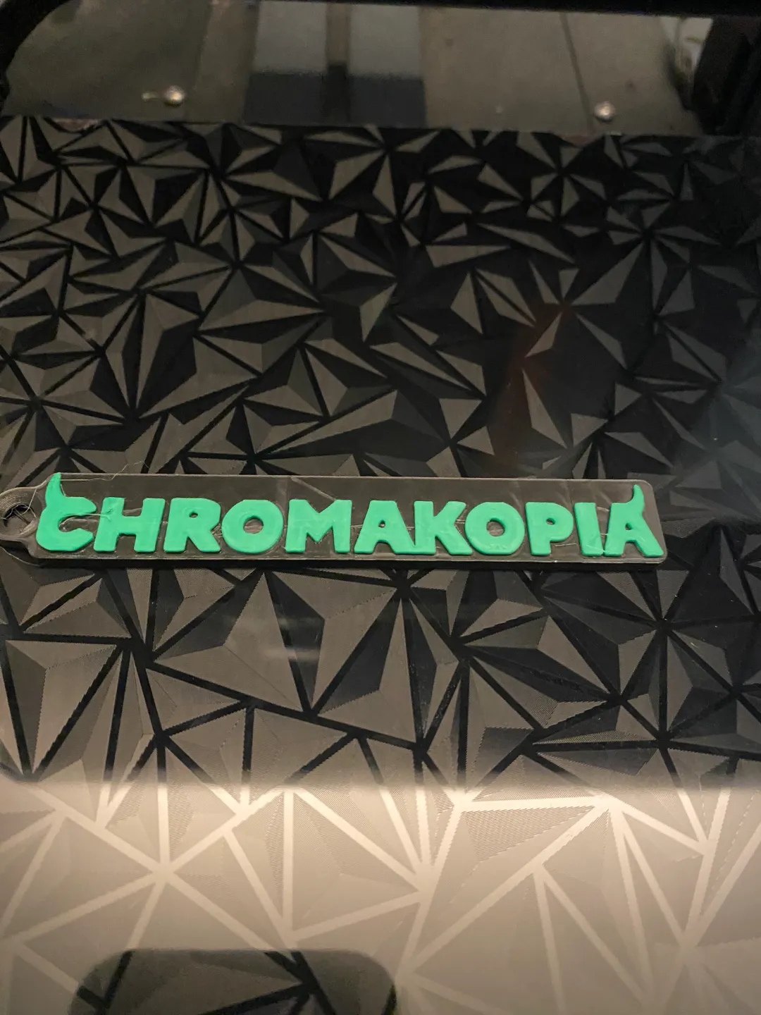 Chromakopia bag tag/key ring, photo 4 of 4 - Chromakopia bag tag/key ring Art