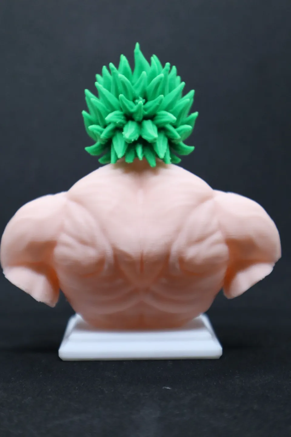 Broly Bust (Update: full color), photo 4 of 4 - Broly Bust (Update: full color) Figurines & Collectibles