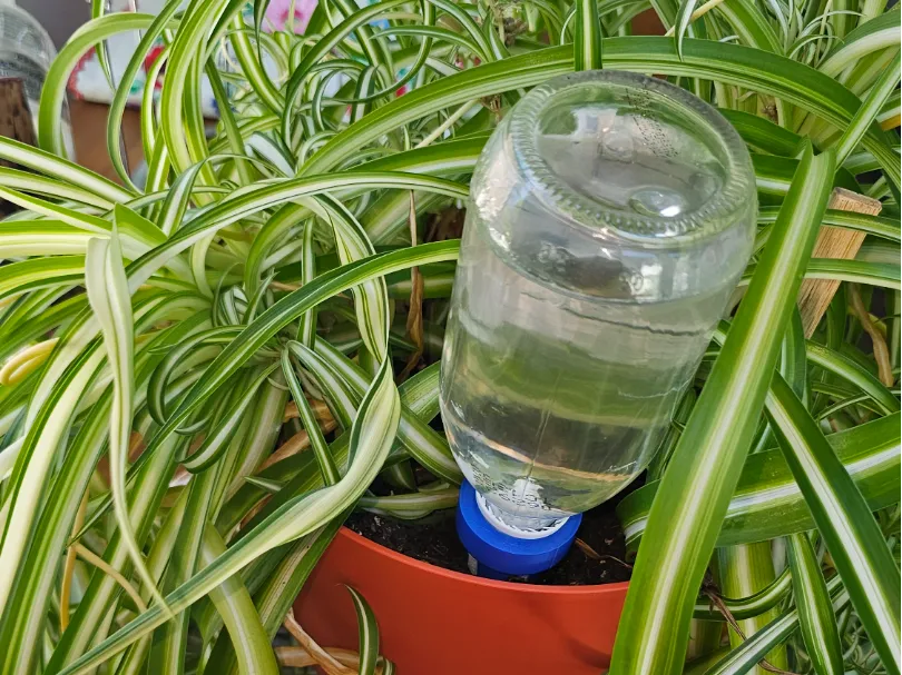 WickSmart Plant Watering Spike