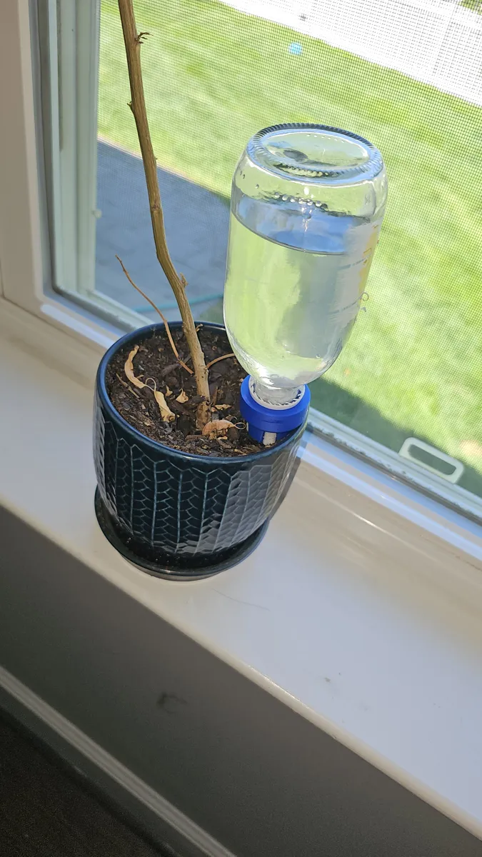 WickSmart Plant Watering Spike, photo 3 of 4 - WickSmart Plant Watering Spike Garden & Outdoor