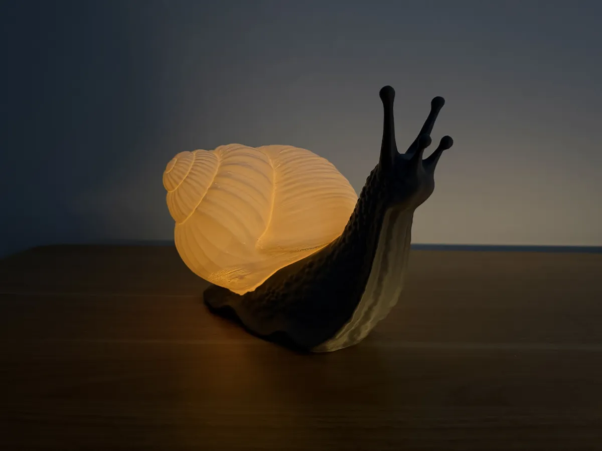 Snail Lamp, photo 3 of 4 - Snail Lamp Lamps & Lighting