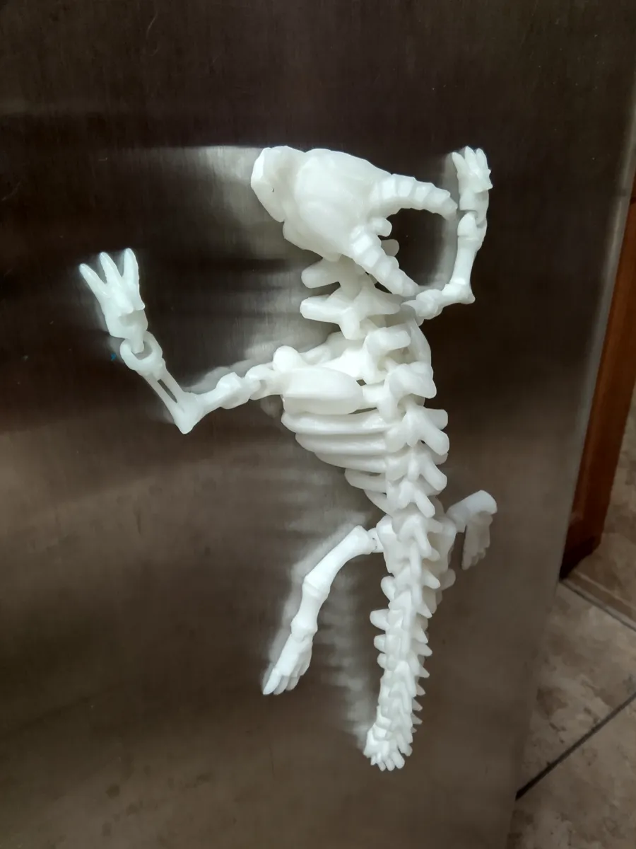 Magnetic Articulated Skeleton Dragon