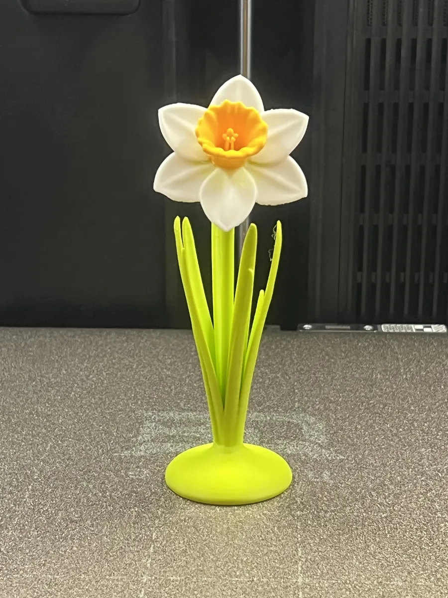 Spring Daffodil, photo 4 of 4 - Spring Daffodil Desk & Office