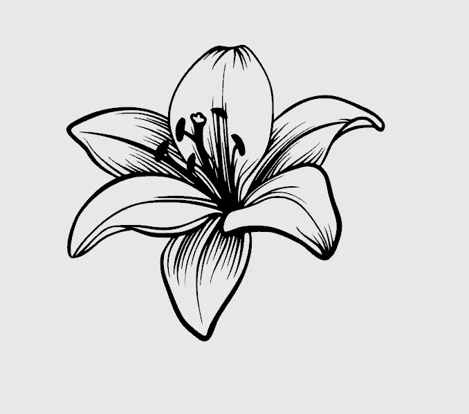 Wall Art - Lilie