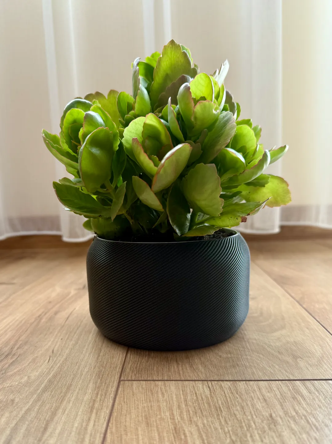 Modern Self Watering Planter, photo 2 of 4 - Modern Self Watering Planter Household